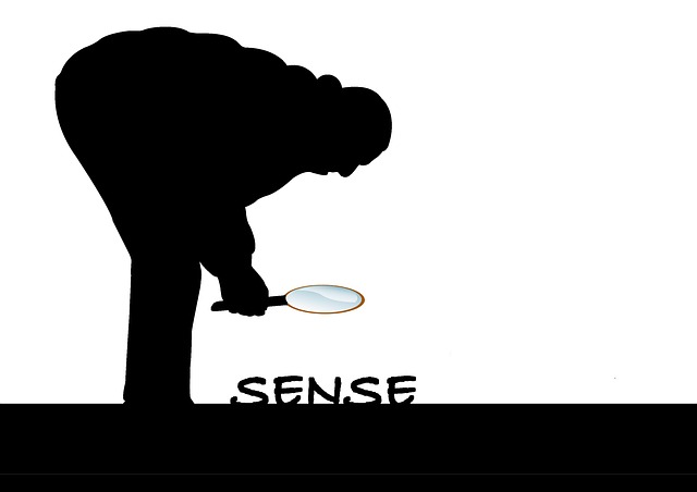 Silueta hombre agachado con una lupa que apunta a la palabra "sense"