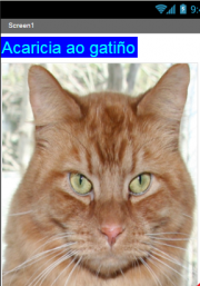 gato
