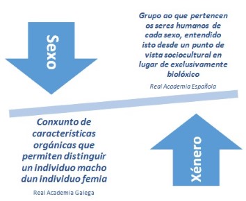 sexo e xenero