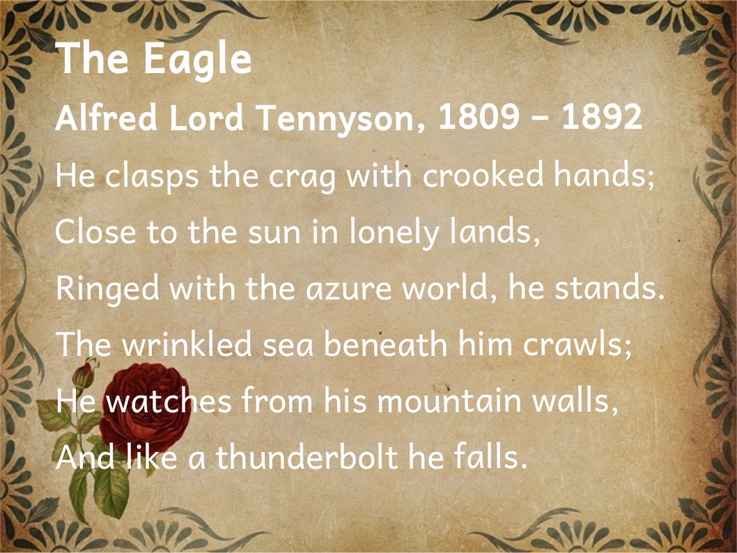 The eagle