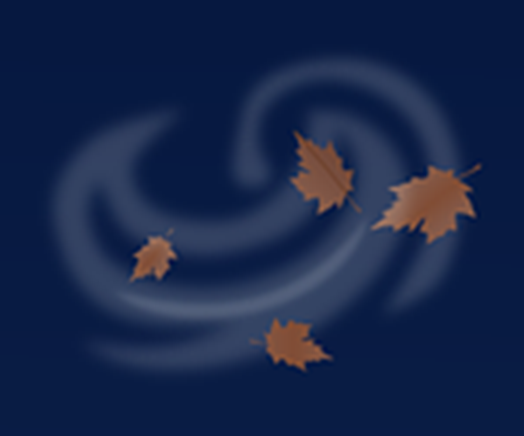 leaves taken away by wind