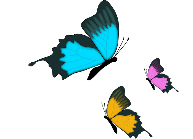 Three butterflies in different colours