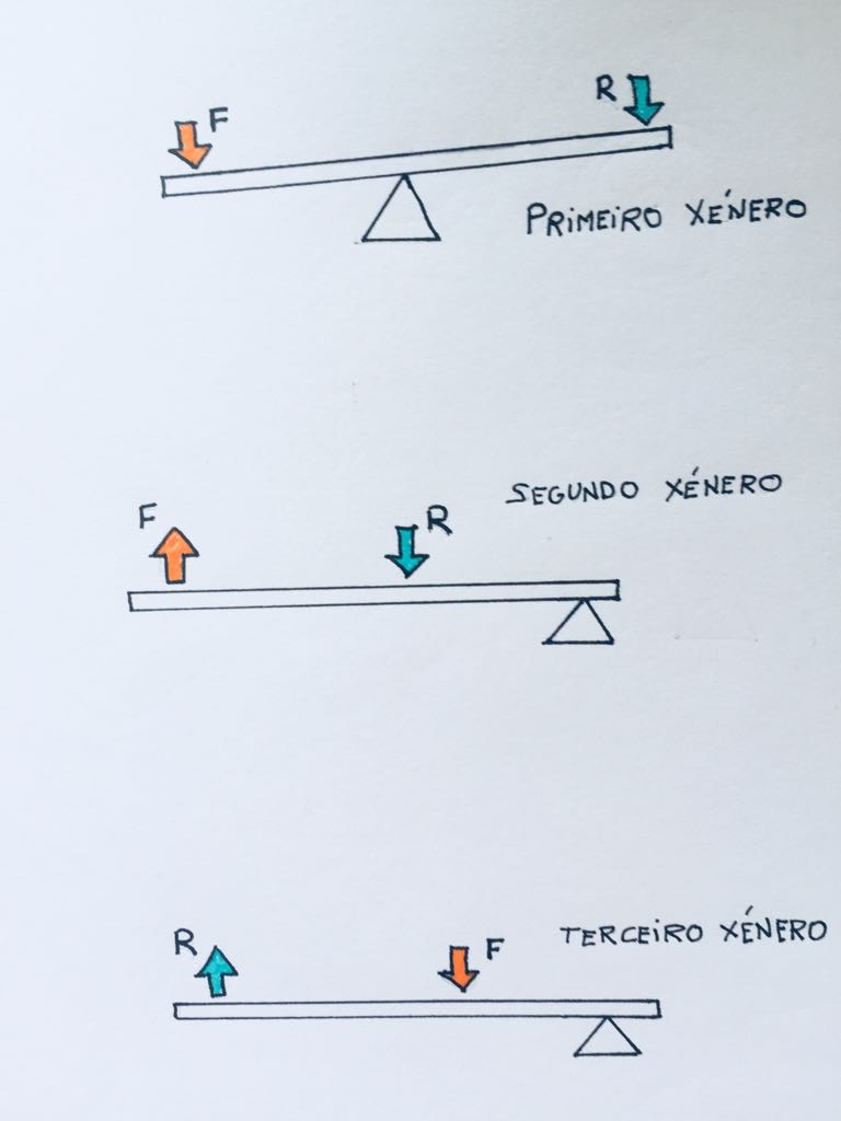 Tipos de pancas