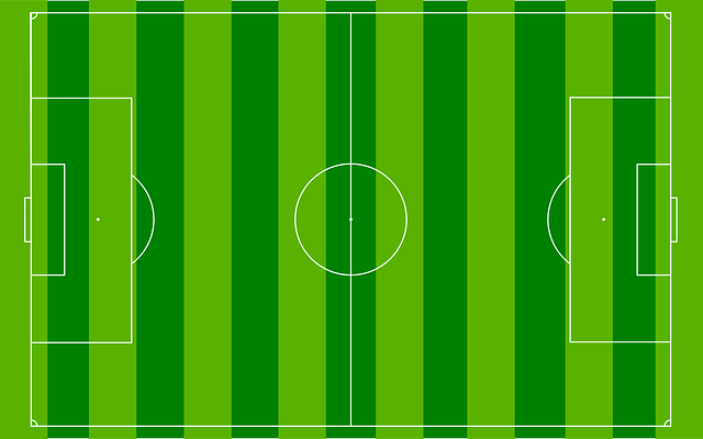 Campo de f&uacute;tbol