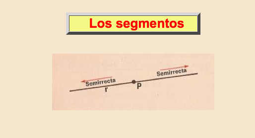 Los segmentos Los segmentos