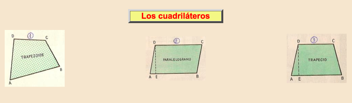 Cuadriláteros Cuadriláteros