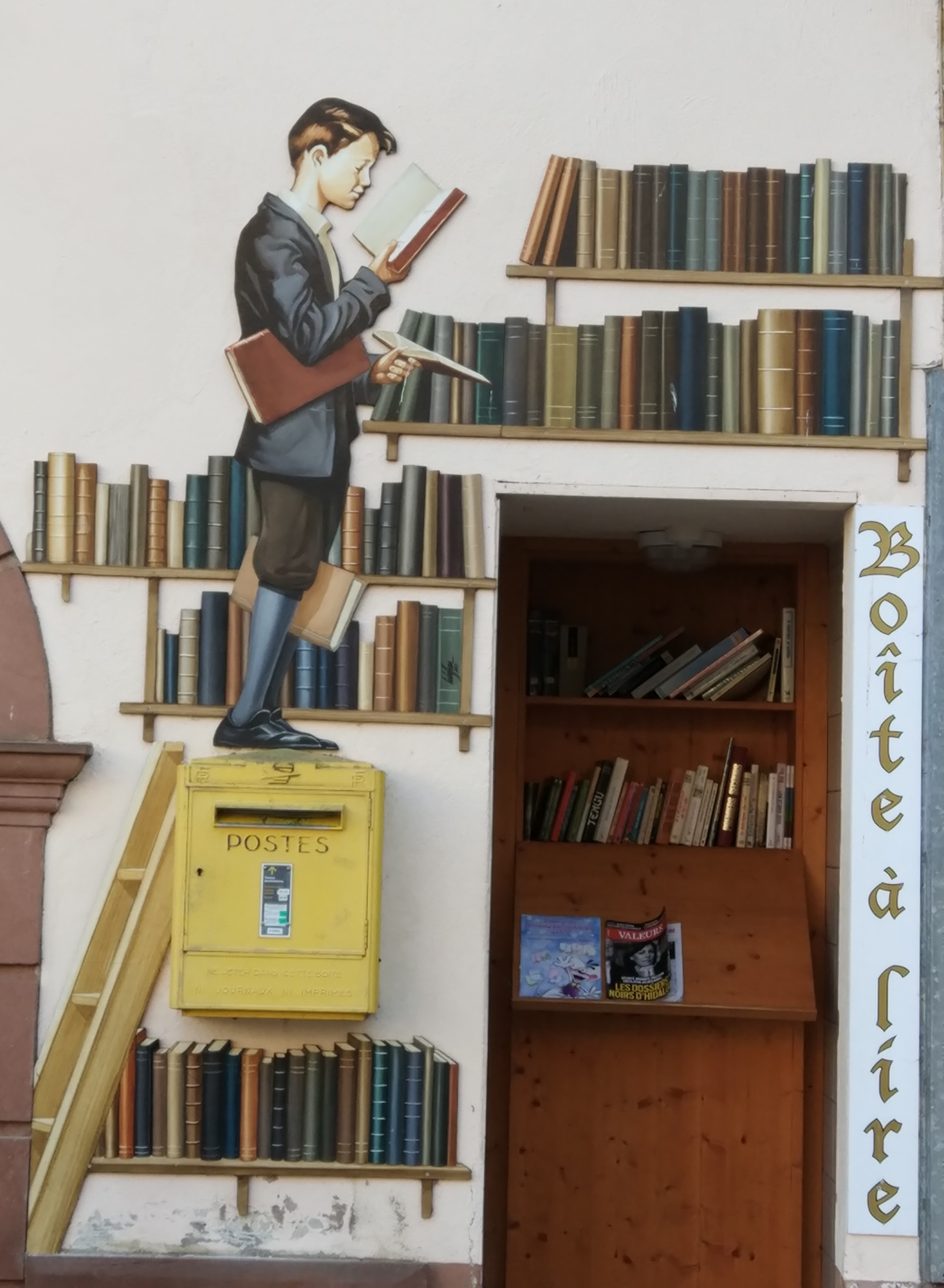 neno consultando un libro nunha librería subido a unha escada.