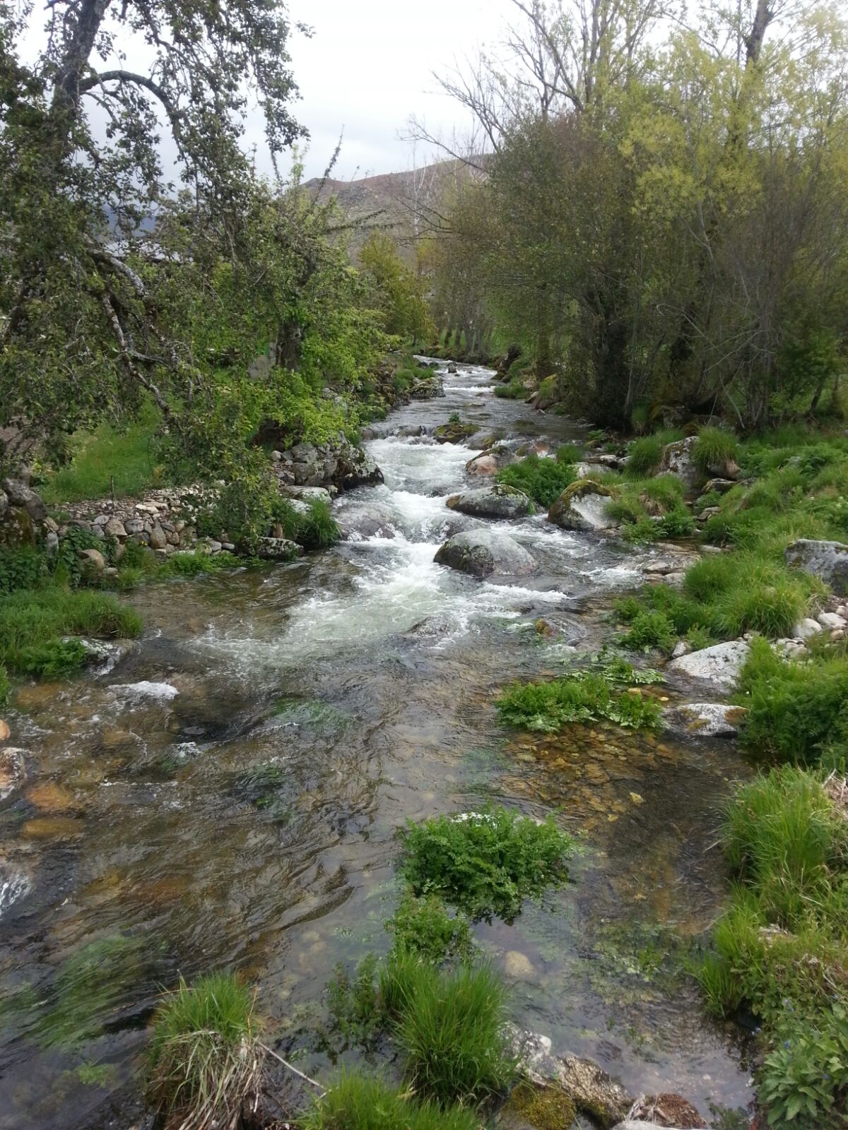 río galego