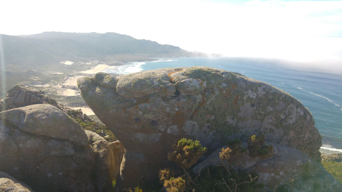 foto de pedra do litoral con forma de animal