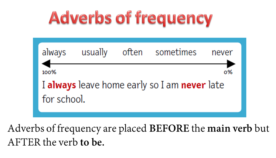 Наречия частотности в английском. Adverbs of Frequency место в предложении. Never sometimes often usually always правило. Предложения с наречиями частотности. Present simple adverbs