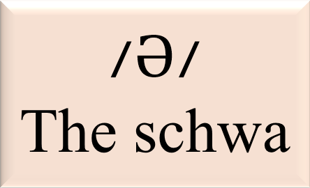 The Schwa