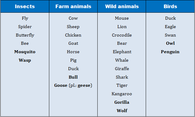 Animals
