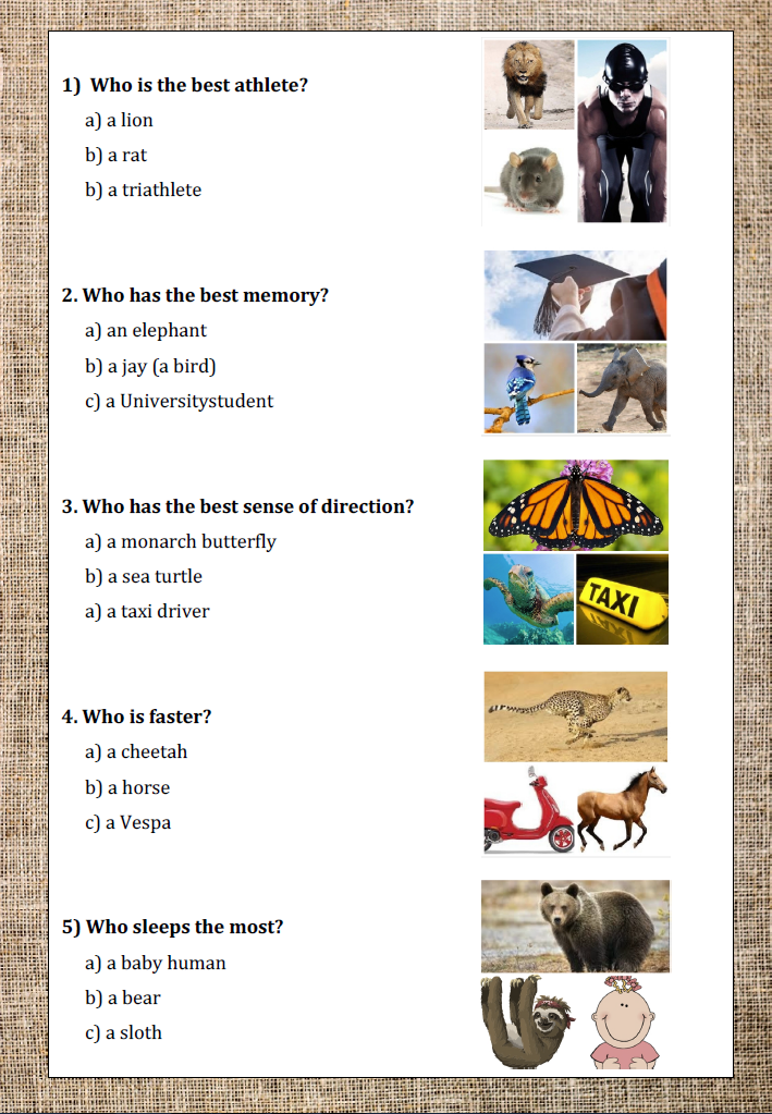 ANIMAIS QUIZ