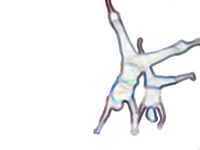 EDUCACIÓN FÍSICA PRIMARIA