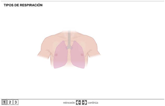 respiración