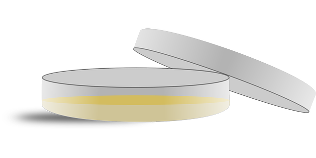 Petri Dish