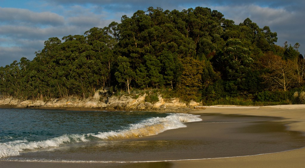 Coastal ecosystem Coastal ecosystem