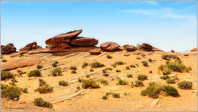Arizona desert Arizona desert