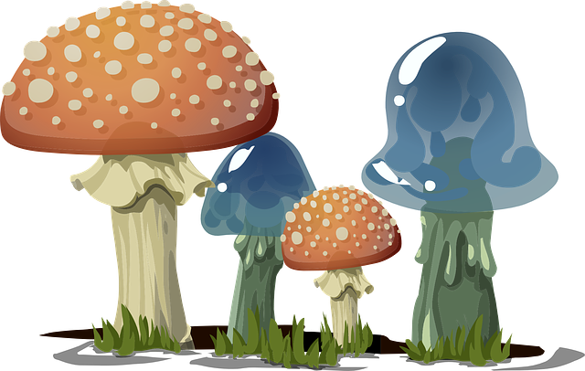 Mushrooms