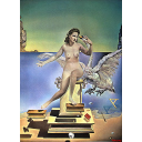 Salvador Dalí, século XX