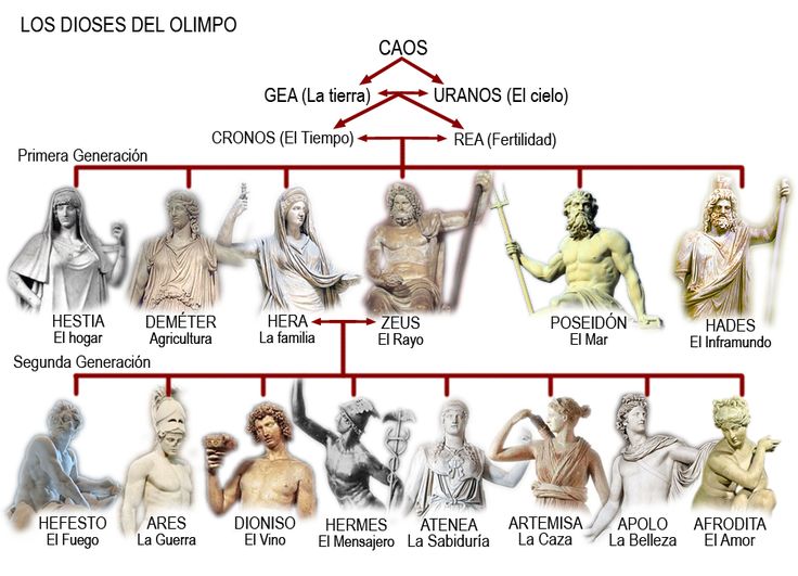 ARBORE XENEALOXICA ARBORE XENEALOXICA