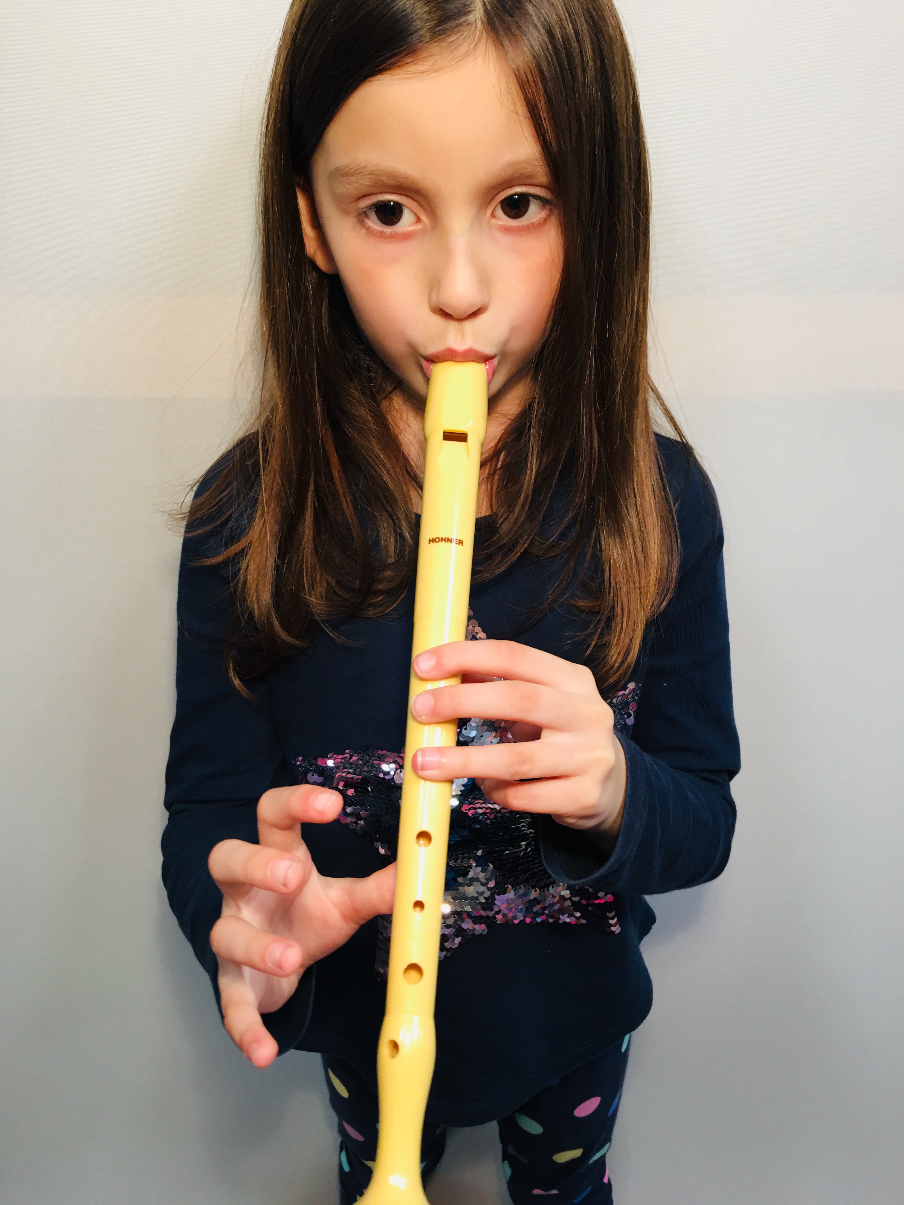 dixitacion sofia sol agudo