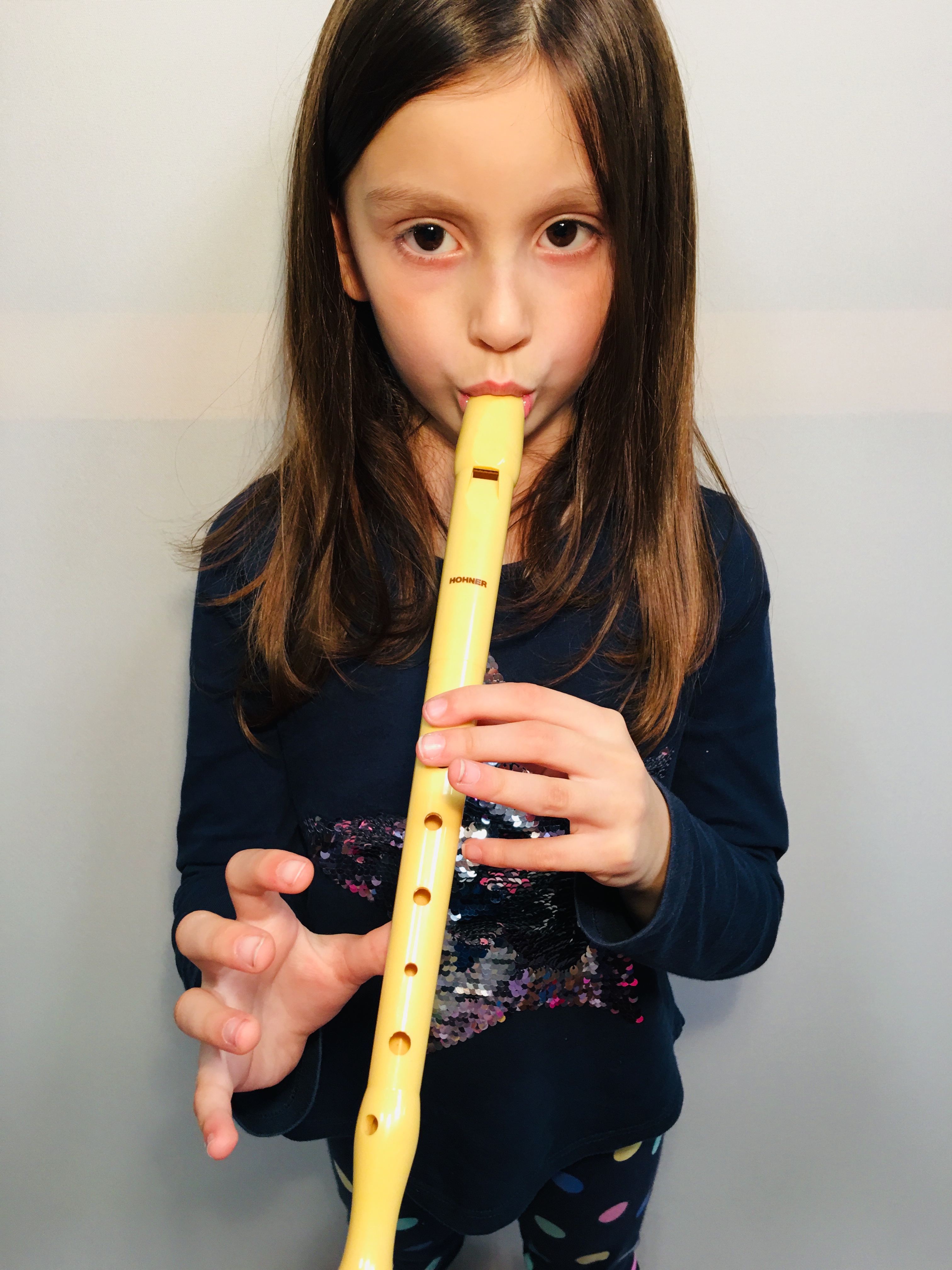 dixitacion sofia la agudo