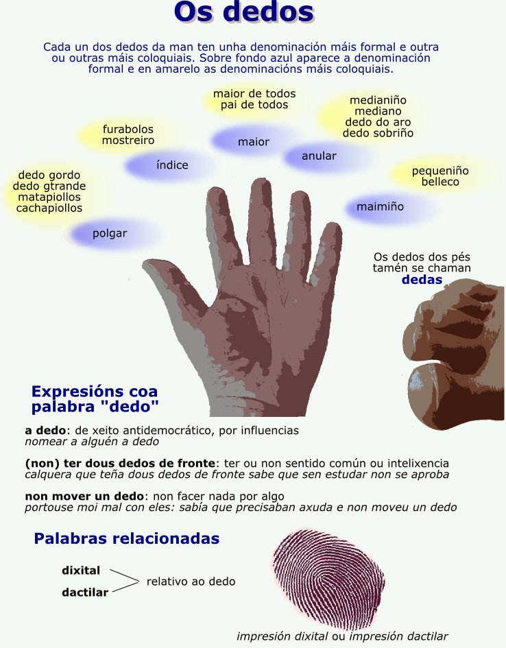 Os nomes dos dedos