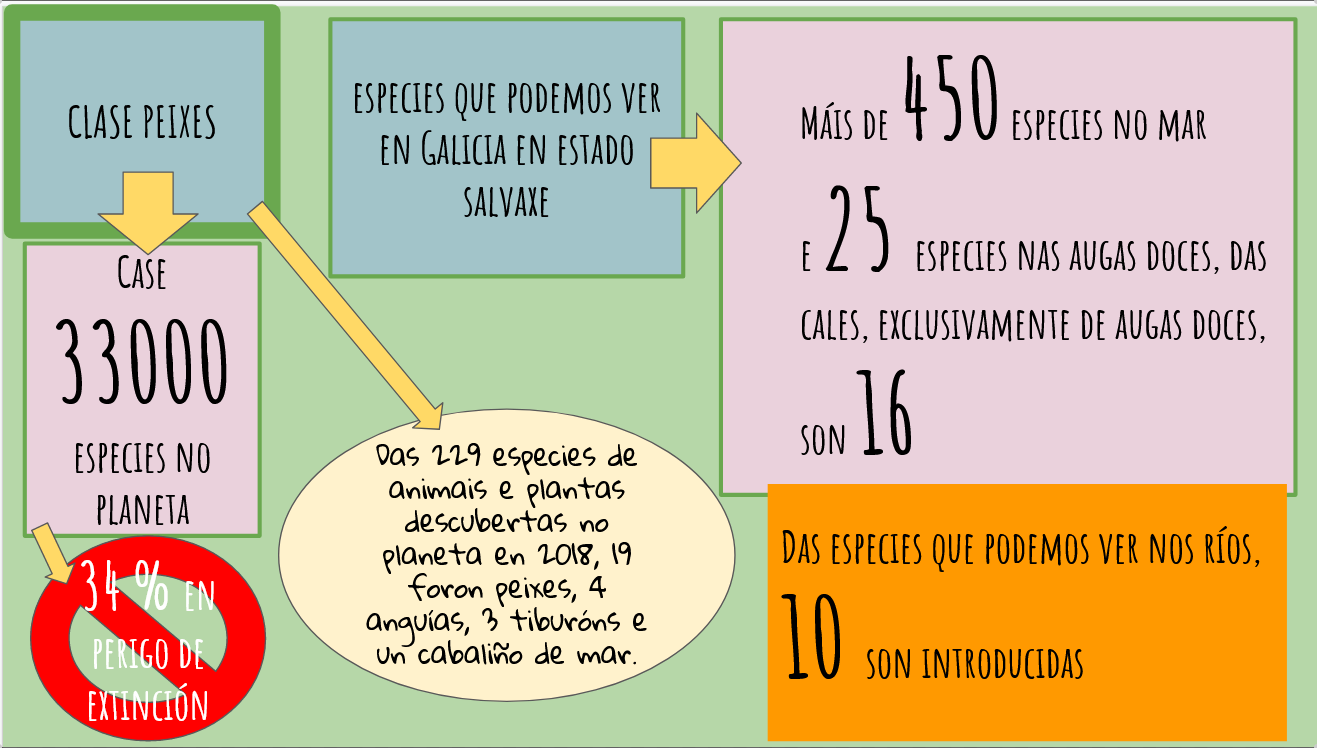 Esquema clase peixes