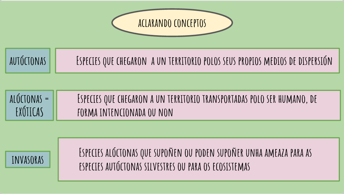 Esquema conceptos mamíferos