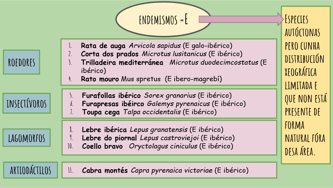 Endemismos mamíferos