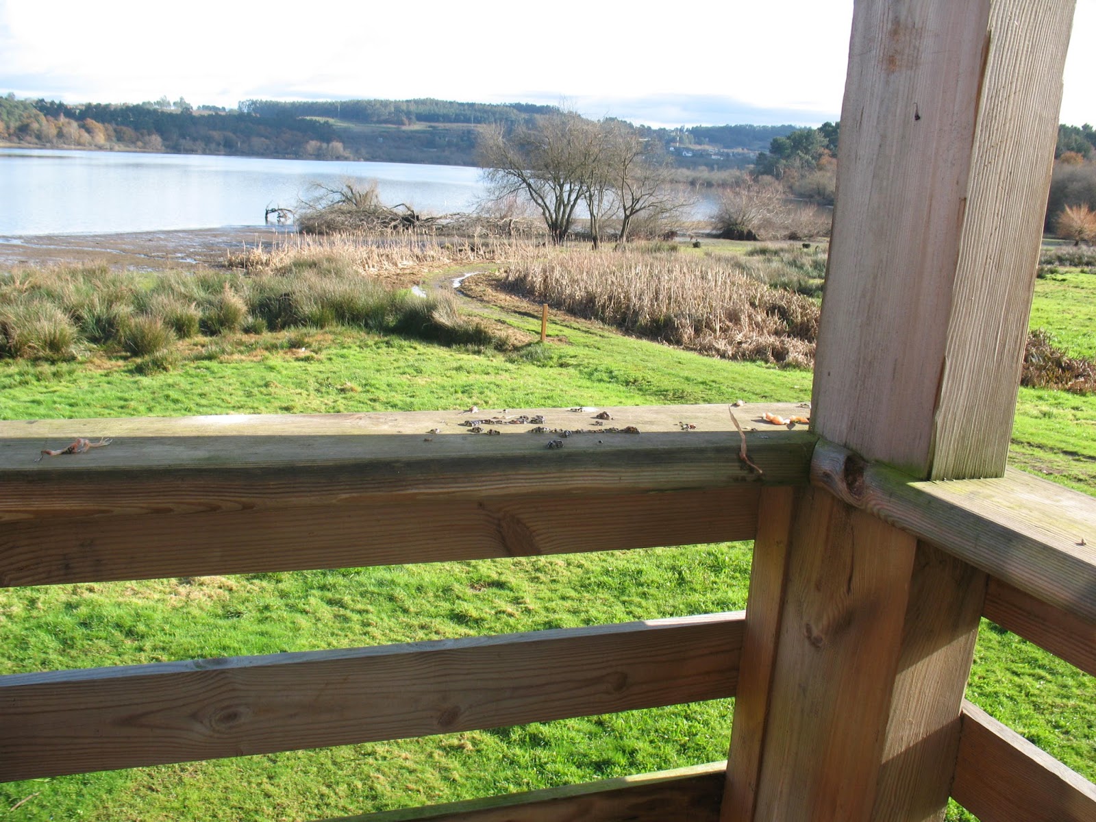 Depredación Depredación