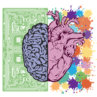 Image de moitié cerveau-coeur