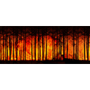 Quel est votre opinion sur la déforestation de notre planète? 