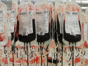 Imaxe: Bolsas con sangue para transfusión sanguínea