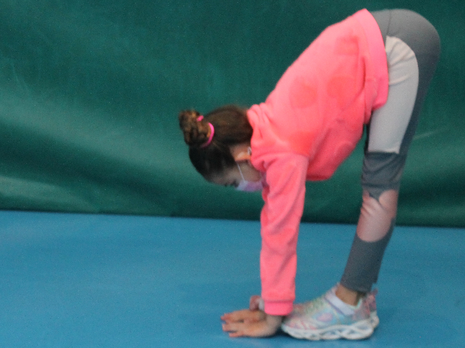 grupos musculares da espalda GRUP0S MUSCULARES DA ESPALDA