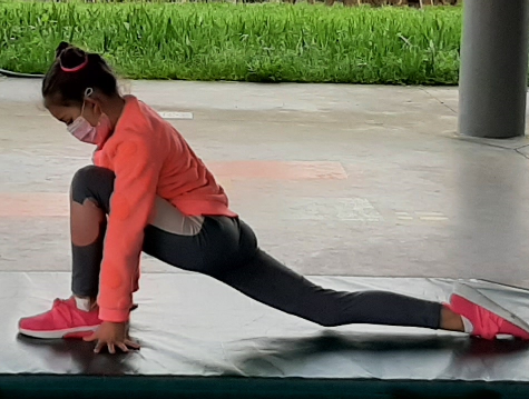 adutorese abdutores ADUTORES E ABDUTORES