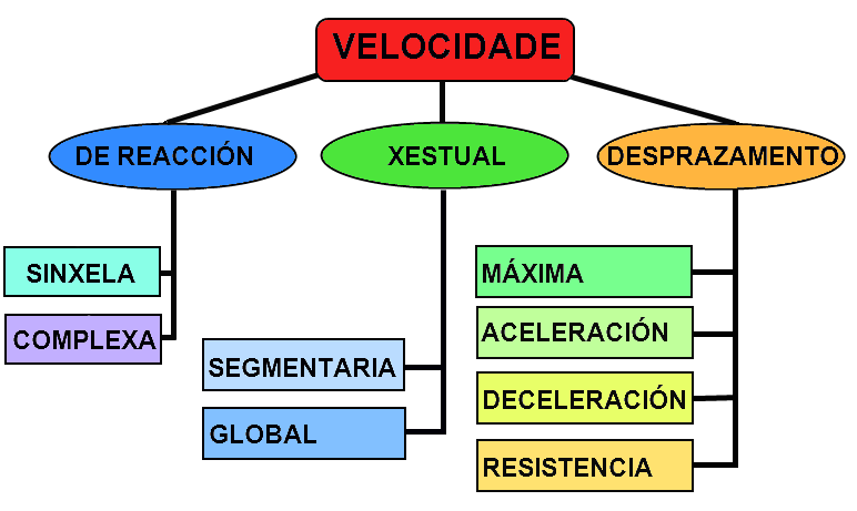 TIPOS DE VELOCIDADE