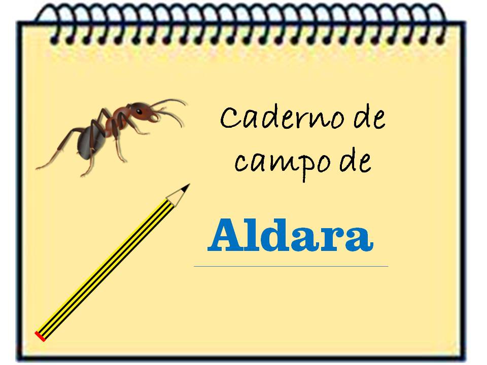 Caderno de Aldara Caderno de Aldara