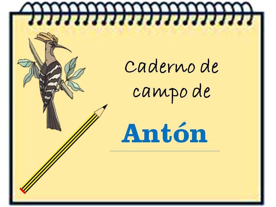 Caderno de Antón Caderno de Antón