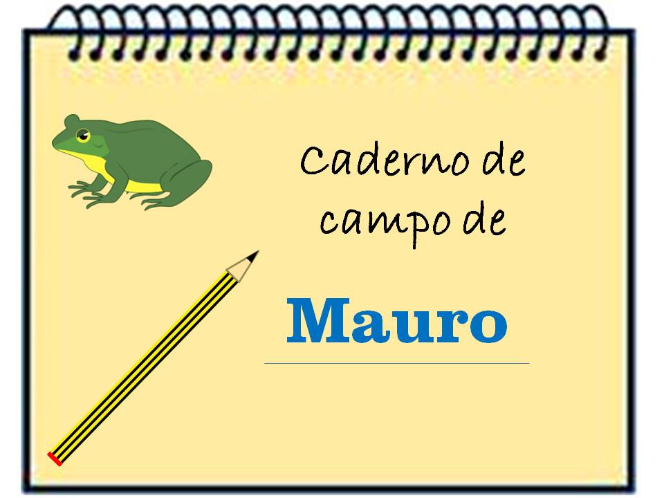 Caderno de Mauro Caderno de Mauro