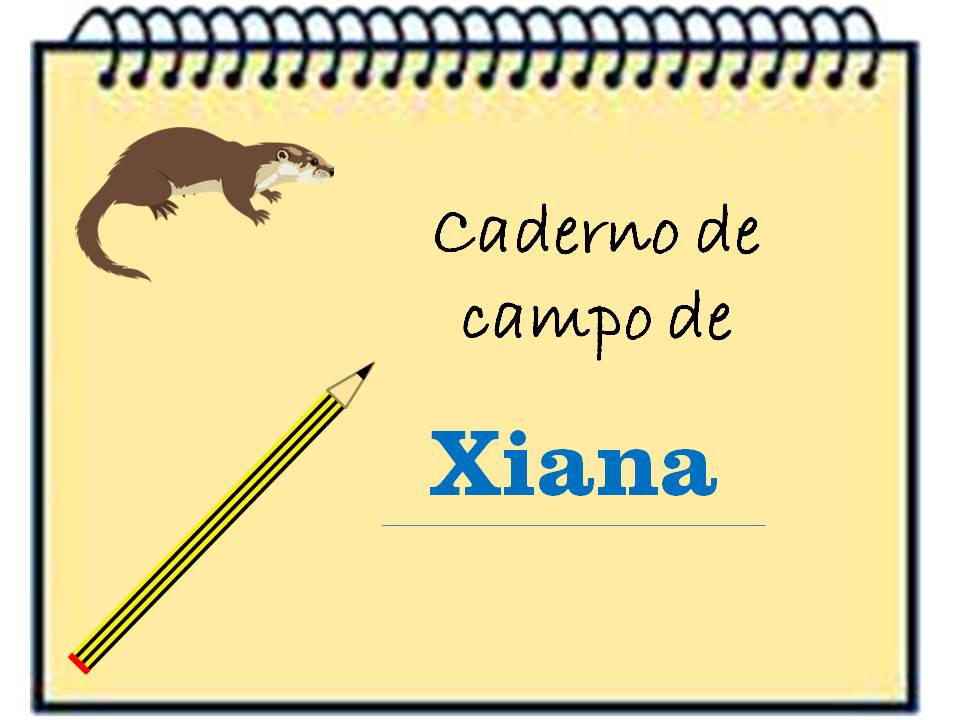 Caderno de Aldara Caderno de Aldara