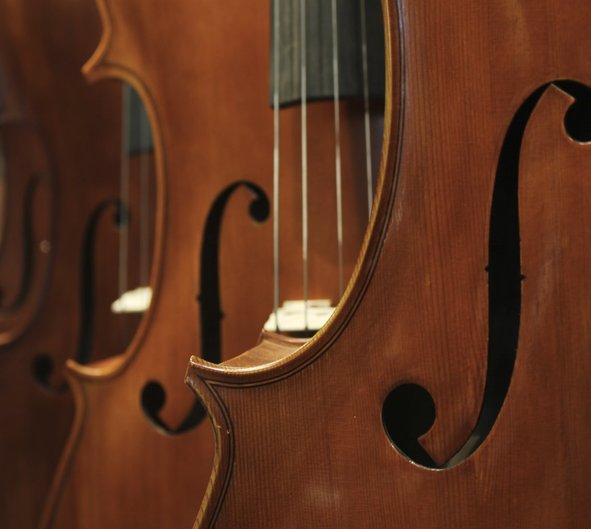 Unha serie de violas colgadas nun obradoiro de luthier