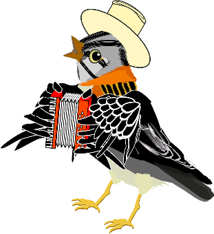 Debuxo dun paxaro tocando o acordeón