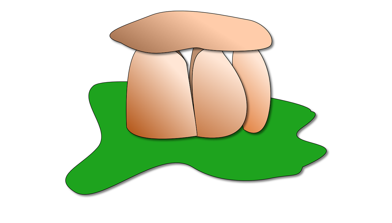 Debuxo dun dolmen