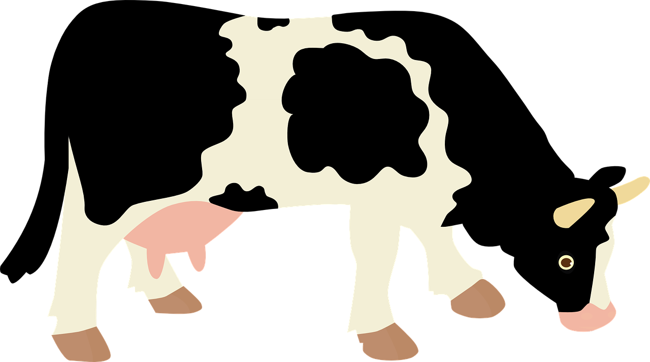 Debuxo de vaca