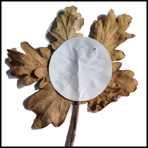 Paste the white circle on top to protect the leaves