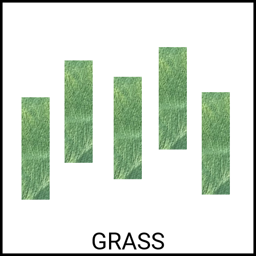Rectangles for the grass and stem