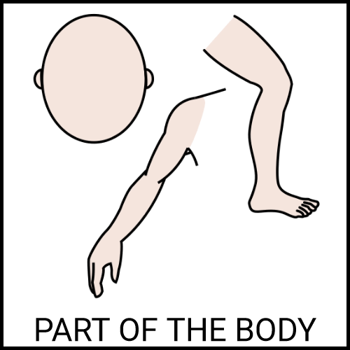 Part of the body