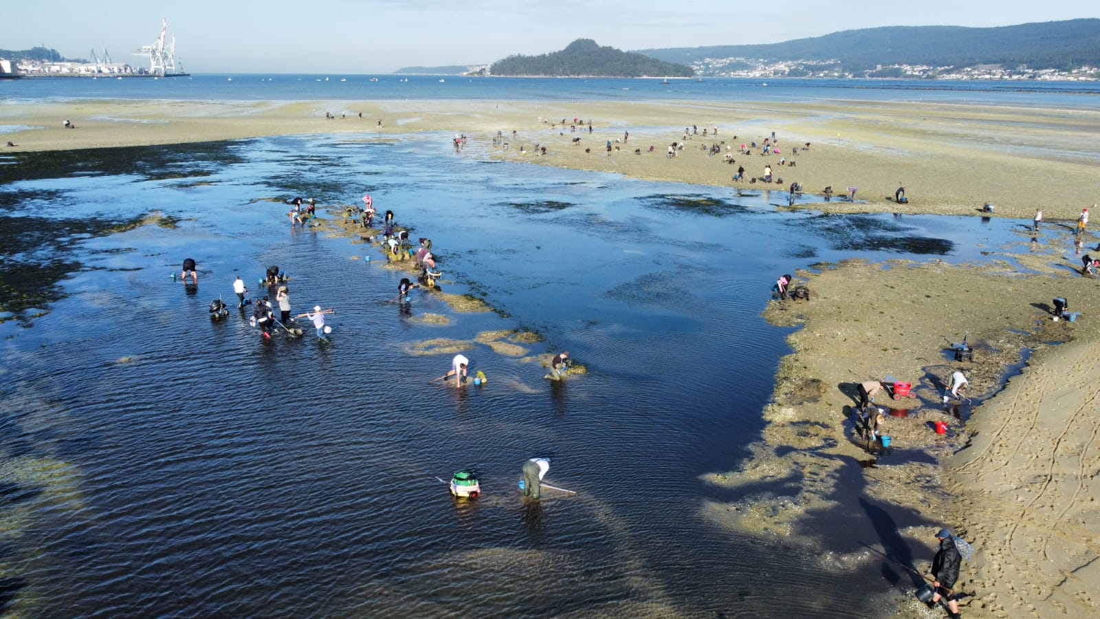vista xeral mariscadoras na ría de Pontevedra